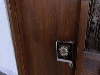 VIDEOS SWF GIF PREVENCION  INDUSTRIA (3)